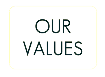 our values text image