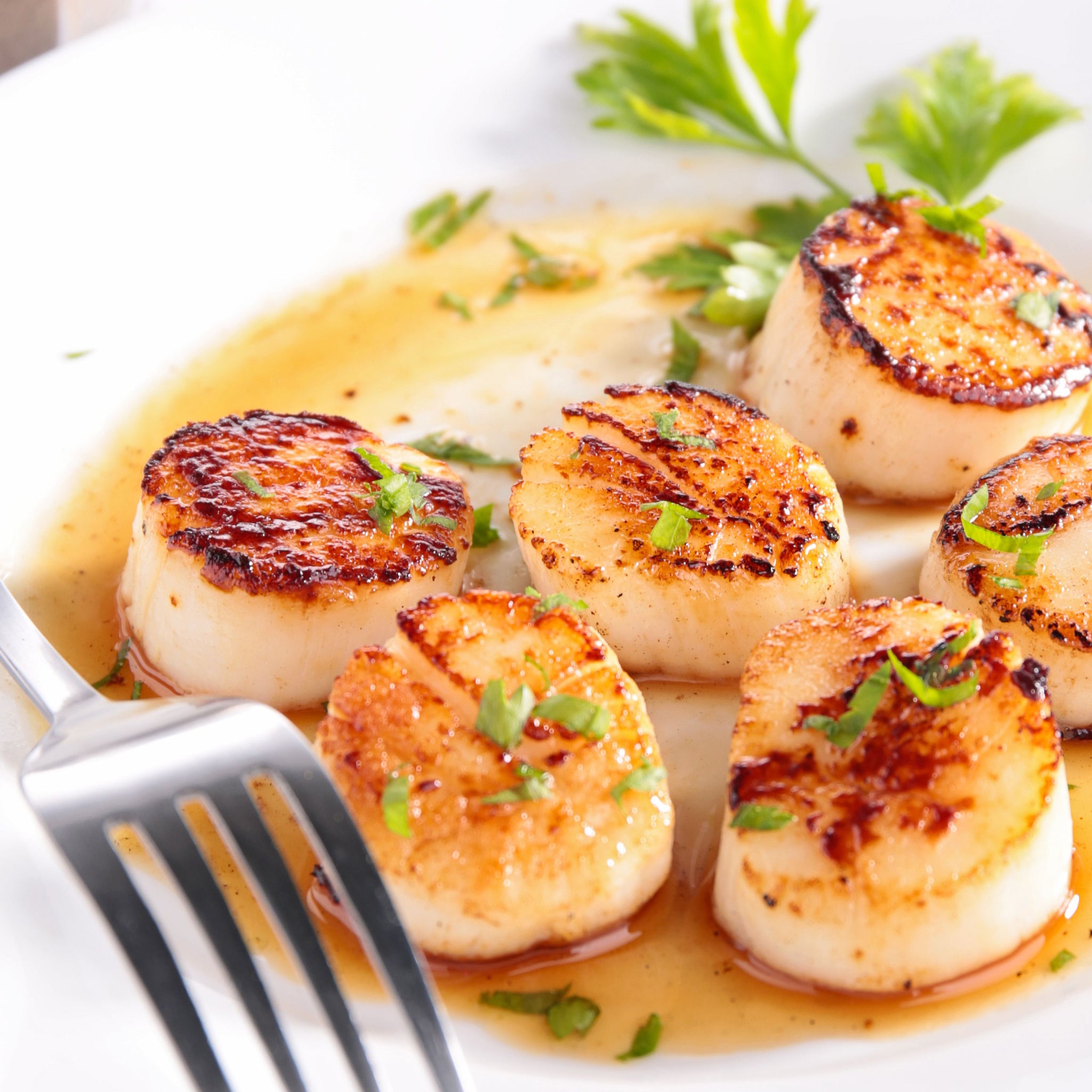 Pan Fried Scallops